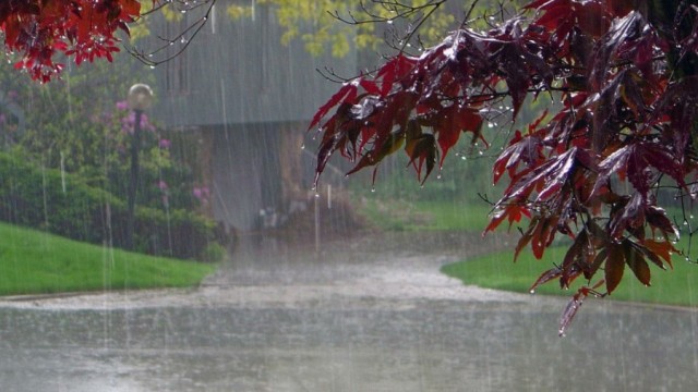 rain-kerala