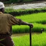 കര്‍ഷക തൊഴിലാളി ക്ഷേമനിധി: പുതിയ അംഗങ്ങളെ ചേര്‍ക്കാന്‍ അവസരം