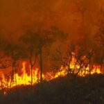 മസിനഗുഡിയിലും കാട്ടുതീ പടരുന്നു