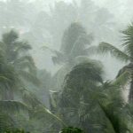 കടുത്ത ചൂടിന് ആശ്വാസമായി മഴ; സംസ്ഥാനത്ത് വേനൽ മഴയ്ക്ക് സാധ്യത, ഇടിമിന്നല്‍ ജാഗ്രതാ നിര്‍ദേശം