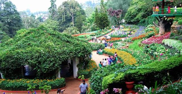 ooty-flower-show 1