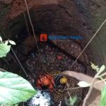 മരം മുറിക്കുന്നതിനിടെ കണറില്‍ വീണ് യുവാവിന് പരിക്ക്