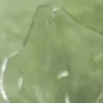 വാക്കേറ്റത്തിനിടയില്‍ ചില്ലുപാത്രം ഉപയോഗിച്ചു പരിക്കേല്‍പ്പിച്ചു