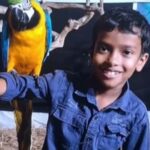 തലയണയ്ക്കടിയില്‍ നിന്ന് പാമ്പ് കടിയേറ്റ് എട്ട് വയസ്സുകാരന് ദാരുണാന്ത്യം, സഹോദരന്‍ ചികിത്സയില്‍